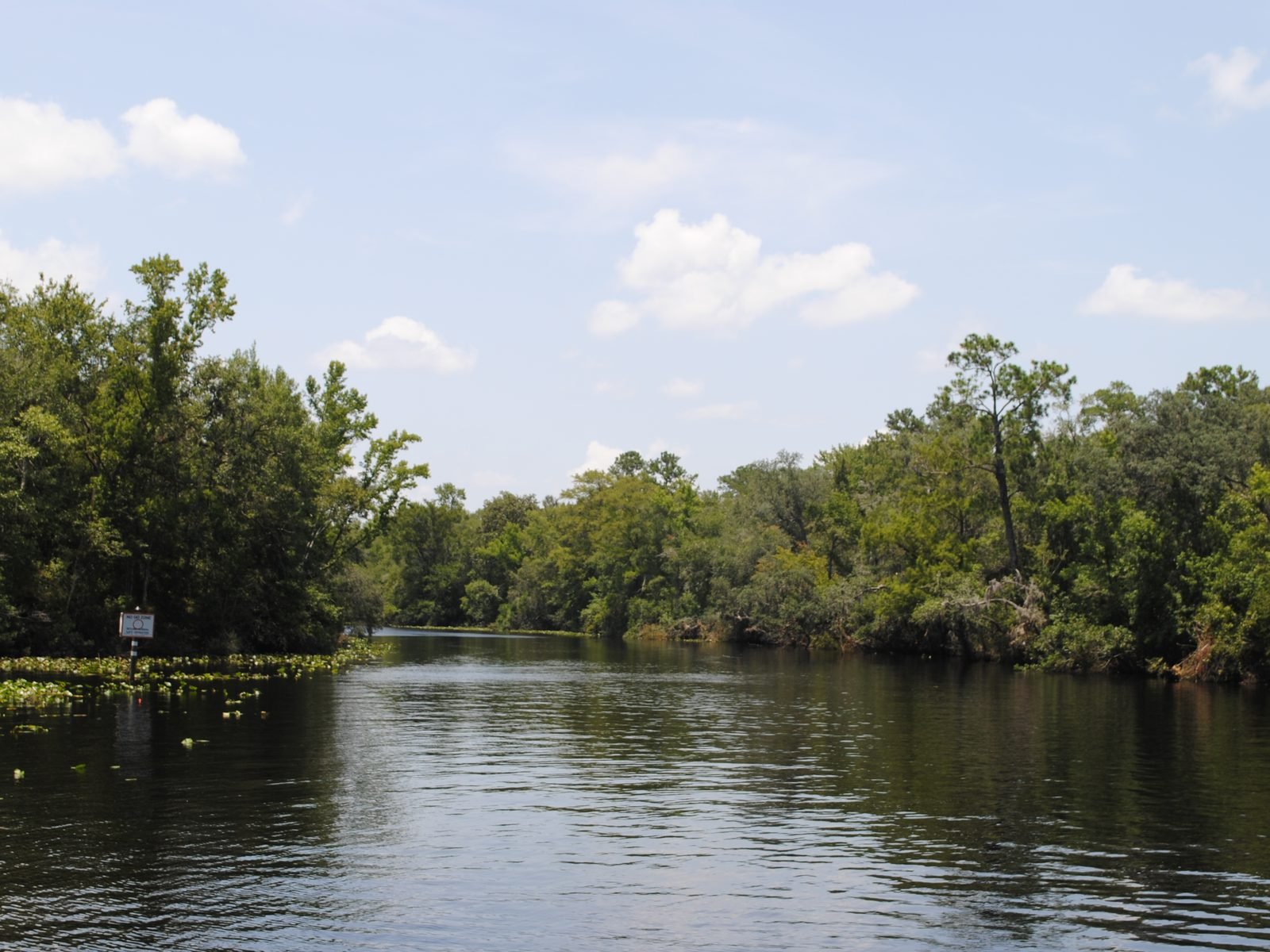 Black Creek boardwalk in Middleburg