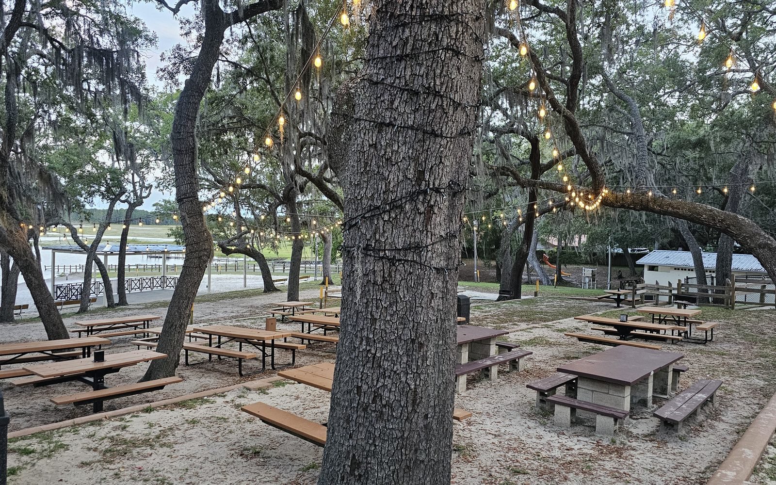 Picnic tables under the live oaks by the lake